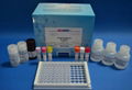 进口沙丁胺醇定量检测测试盒 1