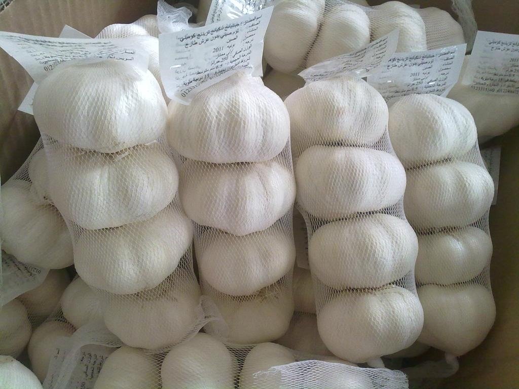 Pure white garlic 4