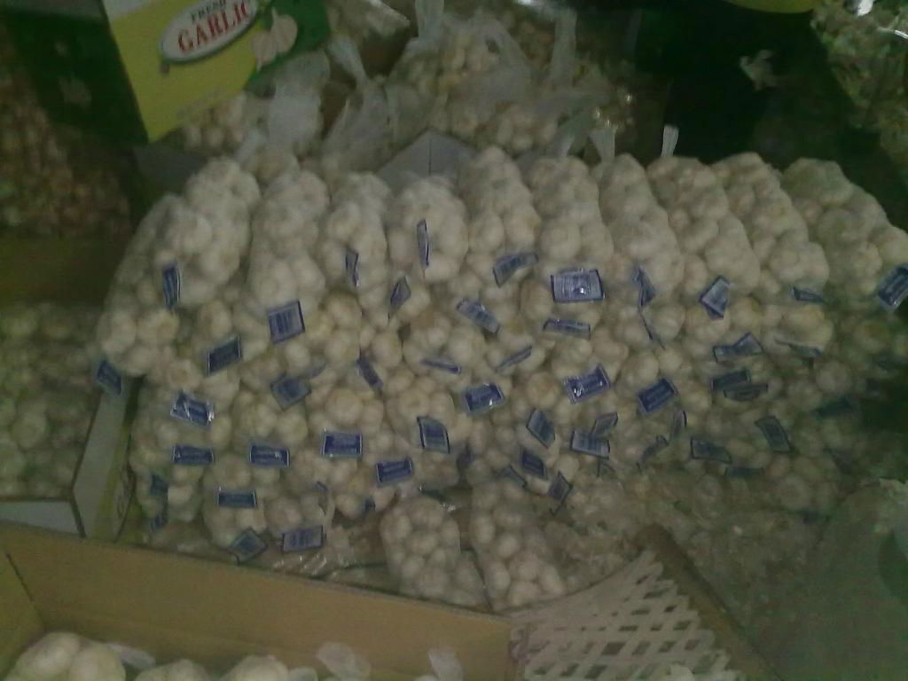 fresh china garlic from chinese garlic factory 2