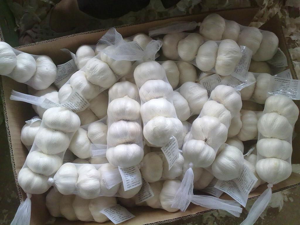 fresh china garlic from chinese garlic factory 5