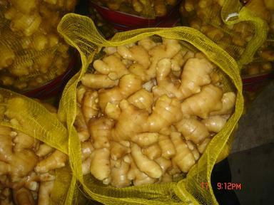 Fresh Ginger 5