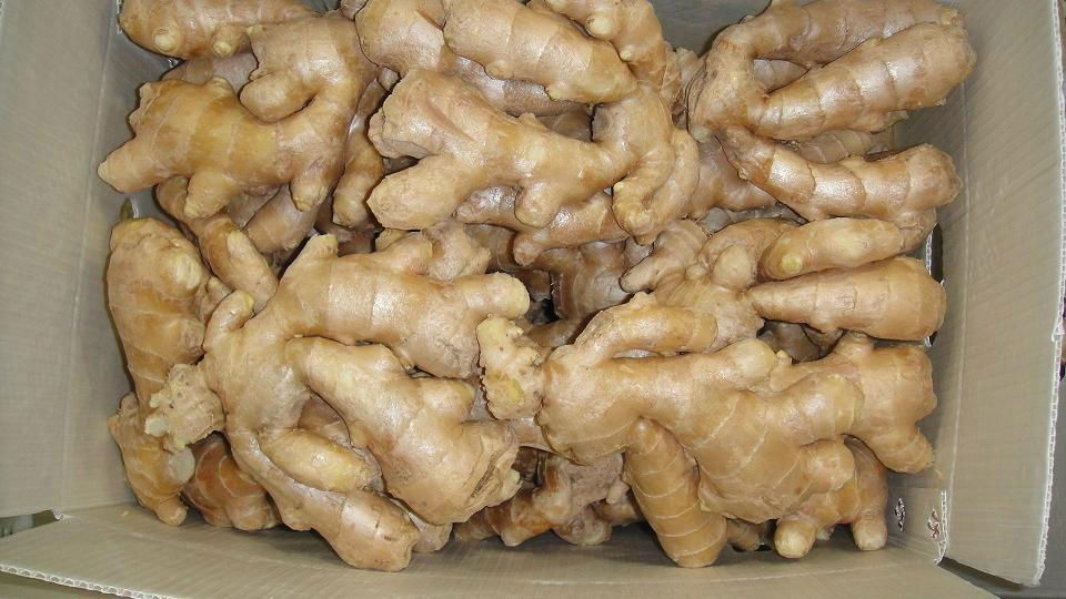 air dried ginger