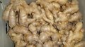 air dried ginger
