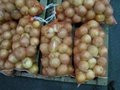 china fresh onion exporter