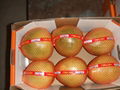 Fresh Honey Pomelo Factory From China