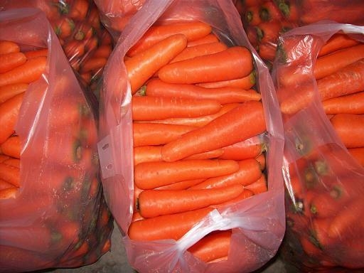 fresh carrot