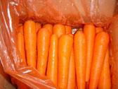 fresh carrot 3