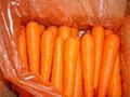 fresh carrot 3