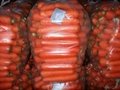 chinese fresh carrots