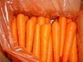 chinese fresh carrots