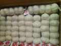 Chinese fresh pure white garlic