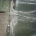 stainless steel wire mesh 3