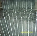stainless steel crimped mesh  2