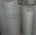 stainless steel crimped mesh  3