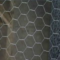 hexagonal wire mesh  1