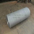 buy Hot Dipped Hexagonal Mesh