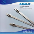 BAND-IT Tie-lok 扣带 1