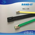 BAND-IT 自鎖式不鏽鋼扎帶 1