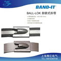 BAND-IT 自鎖式不鏽鋼扎帶 2