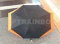 Couple Umbrella 1