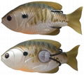 SUNFISH HOLLOW SOFT LURE