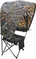 Canopy Chair