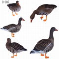 Goose Decoy