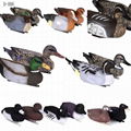 Duck Decoy  1