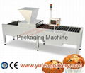 Depositor for two different types of dough YUFENG 1