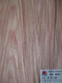 engineered wood veneer