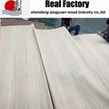 Engineered wood poplar veneer recon white poplar veneer  2