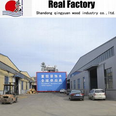 Shandong Qingyuan Wood Industry Co.,Ltd