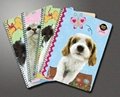 spiral binding notebook,diary notebook, agenda notebook, with logo printing