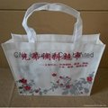 Promotional picture printed non woven tote bag