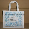 Eco friendly non woven handle bag with bottom and guesset