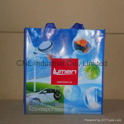 Customzied laminated non woven shopping bag