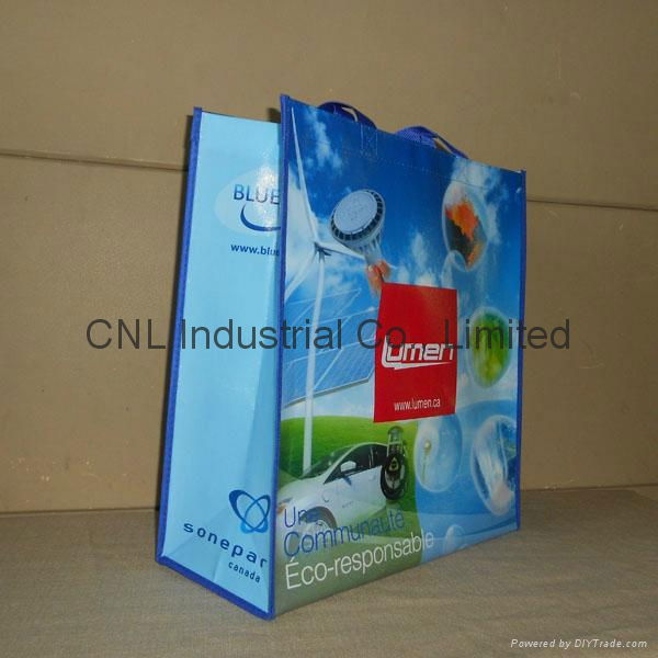 Customzied laminated non woven shopping bag 4