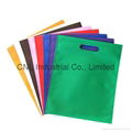 Heat Sealed Non-Woven Exhibition Bag