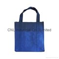 Picture printed non woven strengthening handle bag 6