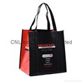 Picture printed non woven strengthening handle bag 9