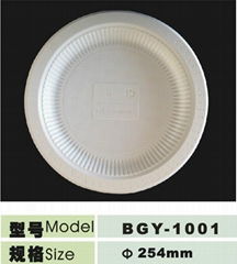 10inch disposable biodegradable plate