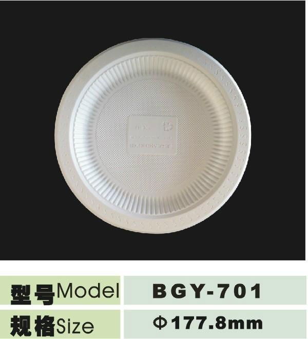 10inch disposable biodegradable plate 4