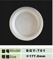 10inch disposable biodegradable plate 4