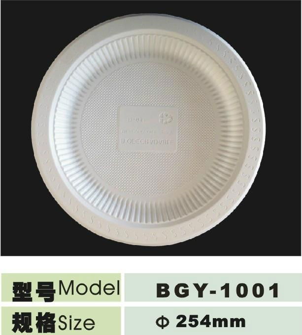 10inch disposable biogdegradable 3 compartments plate  2
