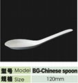 disposable biodegradable chinese spoon 1