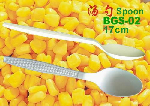 disposable biodegradable chinese spoon 4