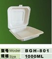 1000ml disposable biodegradable 3 compartment lunch box 2