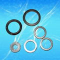 graphite gasket 4