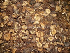  Shiitake Mushroom P.E. 