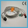 Pro1000 One piece 5-lead ECG Cable with leadwires 5